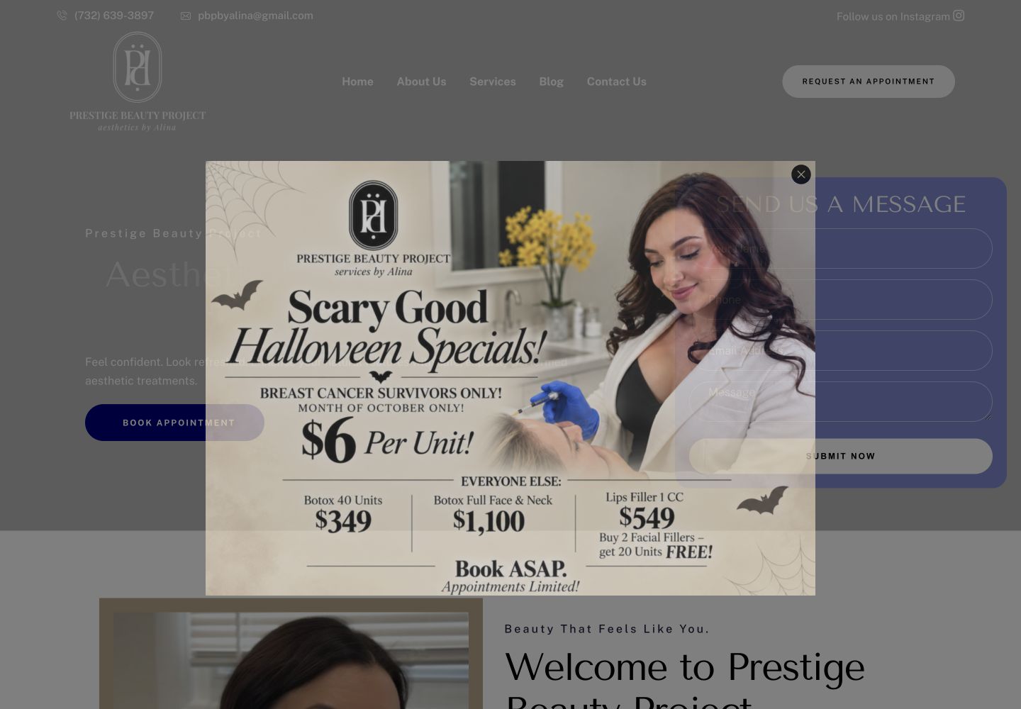 Prestige Beauty Project website